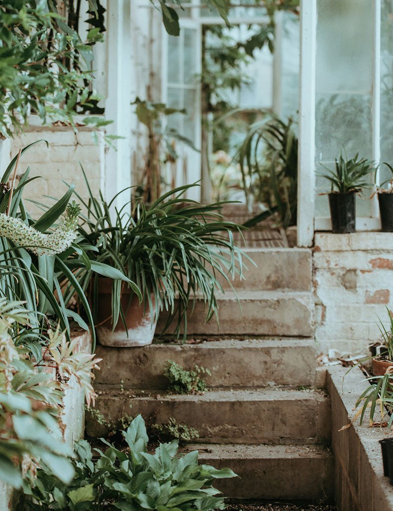 Serviettes de table Lin Gastronomie Vert Jade