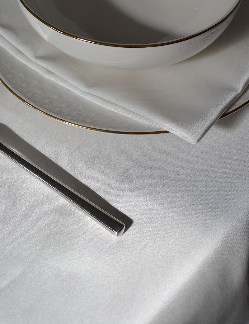 Échantillons de tissu Shiny-Chic