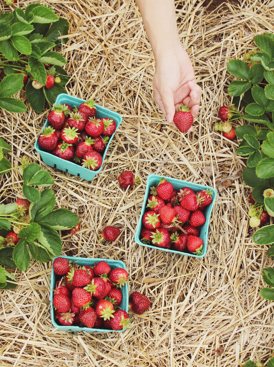 Placemats Outdoor Streepje Rood